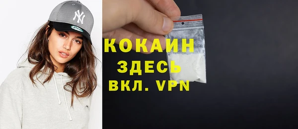 прущая мука Вяземский
