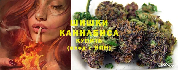 прущая мука Вяземский