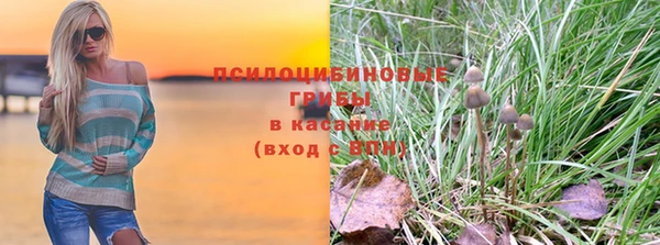 Альфа ПВП Вязьма