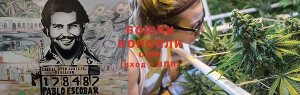 прущая мука Вяземский