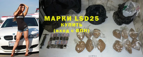 прущая мука Вяземский