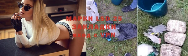 прущая мука Вяземский